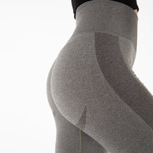 Load image into Gallery viewer, SSL018 Shascullfites Melody Seamless Leggings Yoga Pants Gym Outfits Workout Clothes Fitness Sport Women Fashion Wear Solid